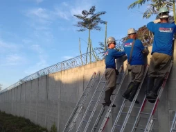 Imagem VENDA E INSTALAÇÃO DE CONCERTINAS ( cerca ouriço)